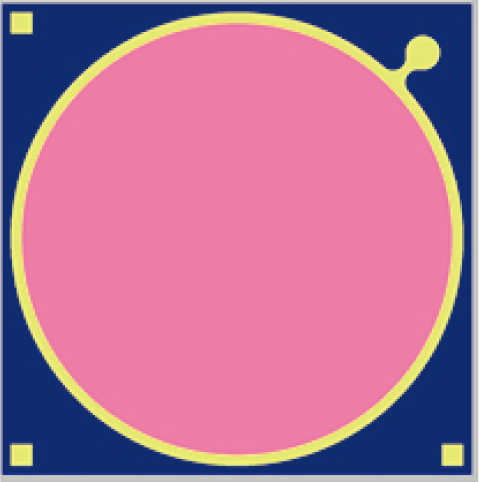 InGaAs Φ1000 μm APD.jpg