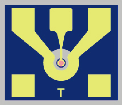 InGaAs 56Gbps PIN PD Chip (∅20um).jpg
