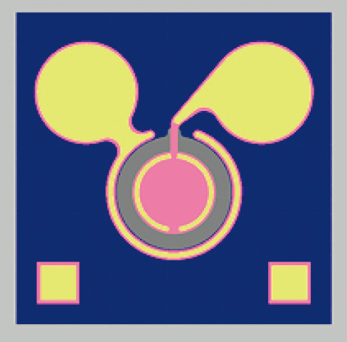 InGaAs 10G PIN PD (∅50μm).jpg