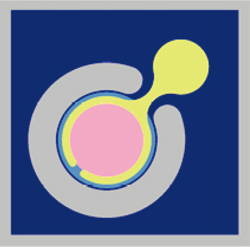 2.5G Analog PIN PD (∅60 μm).jpg