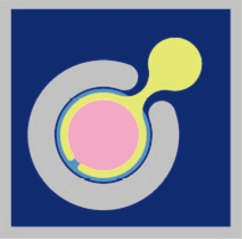 2.5G Analog PIN PD (∅80 μm).jpg