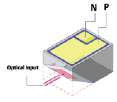 InGaAs Edge-Coupled PD Chip-2.jpg