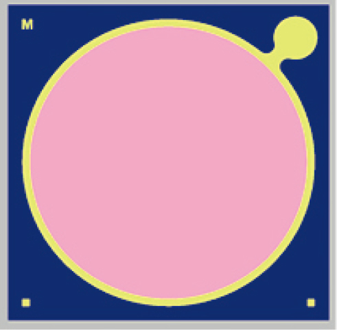 InGaAs ∅1000 μm MPD.jpg