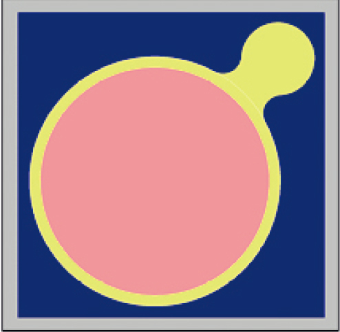 Methane detection ∅250 μm PD.jpg