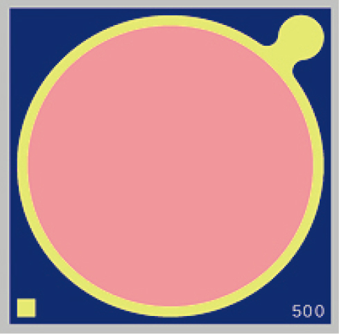 Methane detection ∅500 μm PD.jpg