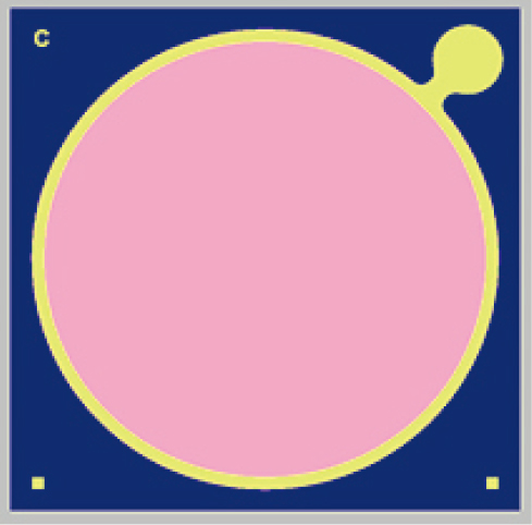 Methane detection ∅1000 μm PD.jpg