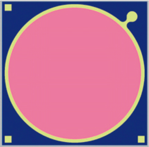 2.2 μm Long Wavelength ∅1000 μm PD.jpg